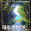 [제주를 걷다 ] no.9 ; 동백을 찾아 떠난 올레 5코스 길 위 남원 큰엉