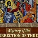 ■당신은 부활(Resurrection)에 대해 무슨 생각을 갖고 계십니까.. 이미지