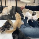 냥린이네 이미지