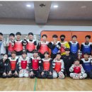 용인대 화랑 합기도 이미지