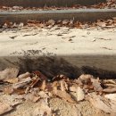 고개쉼터 이미지