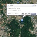 망동제 Daum카페