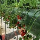 산모퉁이 이미지