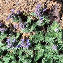 뚜쥬루과자점 이미지