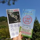 보성티볼센터(옥내) | [보성축제] 보성다향제/보성다향대축제/보성 녹차축제 방문후기! &amp; 보성 가볼만한 곳 추천