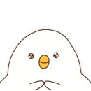 비니속눈썹 - 연제구 | 비니속눈썹