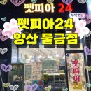 펫피아24 - 남구 못골로12번길 74 | 펫피아24