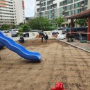 분평1단지뜨란채아파트 이미지