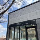 모들펫살롱 이미지