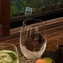 카페카노(CAFE KANO) 네이버블로그