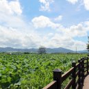 금강역 레일카페 이미지