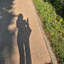 (주)신우엠디 | 5월 넷째 주 취미 일상 ④ | 뮤지컬 <여신님이 보고 계셔>-대구 / <여신님이 보고 계셔> 2022-2023 OST