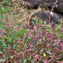 구암동390 이미지