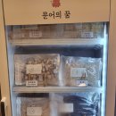 문어의꿈무안 이미지