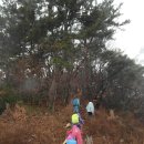 영천초등학교 이미지