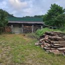 양양장칼국수 이미지