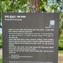 명옥헌정원1(주차장) 이미지