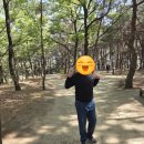 한실숲속모험놀이터 다녀온 들마을어린이집 친구들의 특별한 모험기