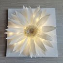 해바라기둘 이미지