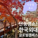 외대사거리버스정류장_R | 한국외대 글로벌캠퍼스 막바지 단풍놀이 후기 / 아이들과 부모님과 즐긴 가을 산책 &amp; 무료 주차팁