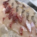 (주)쎈게임 이미지