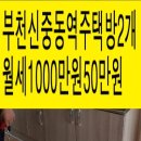 부흥중학교 정문 앞 이미지