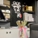 용인대석사 드림태권도장 이미지