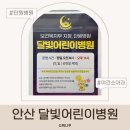 안산단원한방병원 | 안산 달빛어린이병원 후기 단원병원 야간 소아과 진료 후기