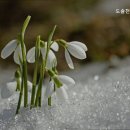 도솔천노인요양원