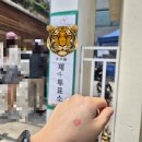 [정보]7만원 히피펌 성지 미용실 후기(안암역 이수란 헤어뉴스/서울 파마 저렴한 미용실/히피펌 성지 비교)