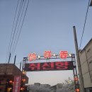북경찐짬뽕 | 일산,탄현 맛집 벚꽃 아래에서 즐기는 북경오리와 짬뽕 취선향 솔직 후기