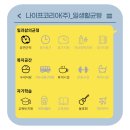 나이프코리아(주) 네이버블로그