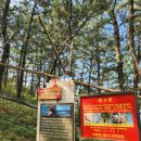 가래칠기 이미지