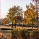 여강길(9코스 너른들길) 이미지