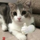 [w] [신혼집 입주청소] 경기 수원지역 숨고 아파트 입주청소 맡긴 내돈내산 후기