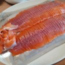 마이산 카페 토박이 이미지