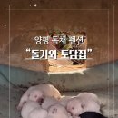 돌기와토담집