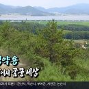 갈밭상사 | 다산 정약용이 현재까지도 칭송받는 이유