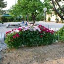 은대리 쉼나루 이미지