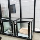 또리네 멍멍이 미용실 이미지