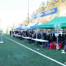 도화그라운드 이미지