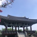 비비정지 이미지