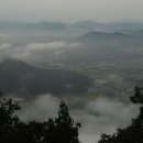 도리도리