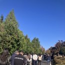 용화수 | 11월 특수(2/4) - 낱낱이 고하는 일상