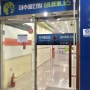 미추홀인원 | 미추홀인원 실내테니스 : 내돈내산 이용후기