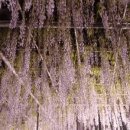 유명파크여관 이미지