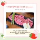 맛밥두번째이야기 | 가기좋은식당]능포수변공원 바로 앞에 위치한 '한우에피소드 두번째이야기' 솔직후기(feat. 인생 소고기)