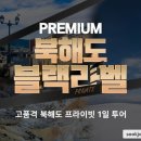 글로벌20
