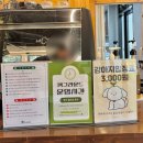 (주)펫그라운드 | 사장님과 상주견이 너무 귀여운 광주 애견카페 “캄포 펫그라운드” 솔직 후기