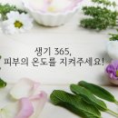 생기365 - 서구 운천로 213 | 생기365